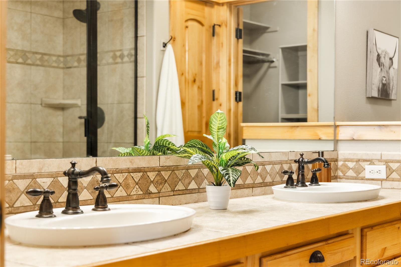 MLS Image #28 for 31276  stone canyon road,evergreen, Colorado