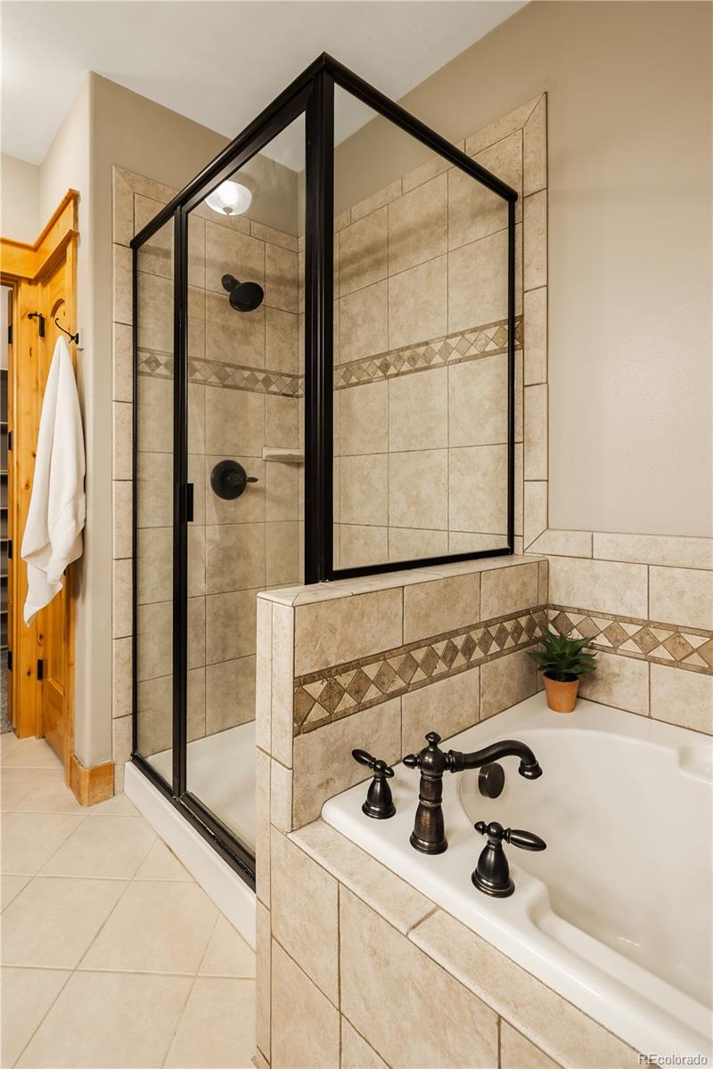 MLS Image #29 for 31276  stone canyon road,evergreen, Colorado