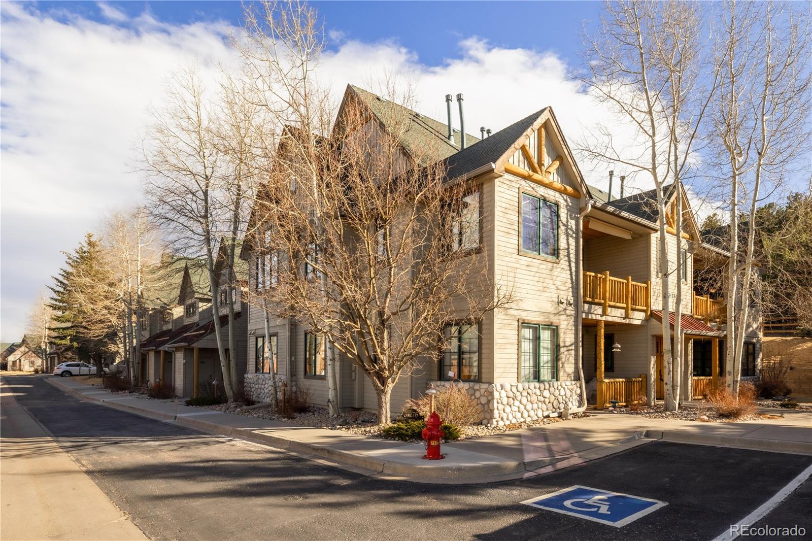 MLS Image #3 for 31276  stone canyon road,evergreen, Colorado