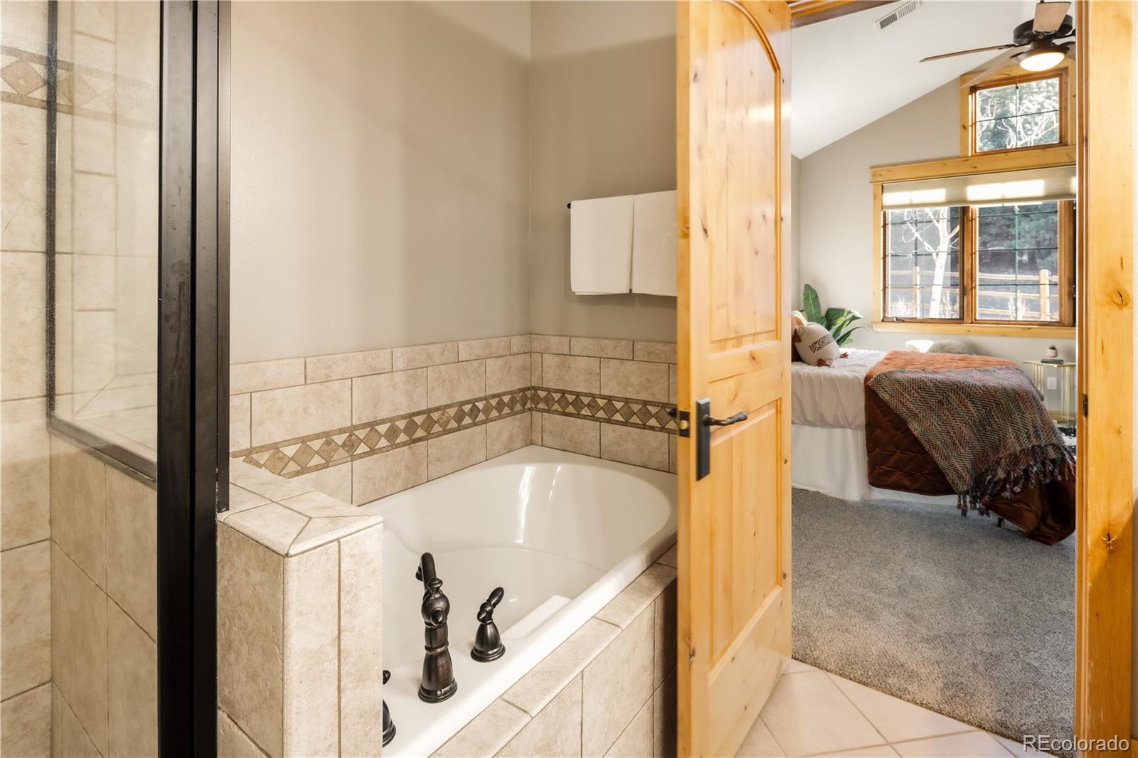 MLS Image #30 for 31276  stone canyon road,evergreen, Colorado