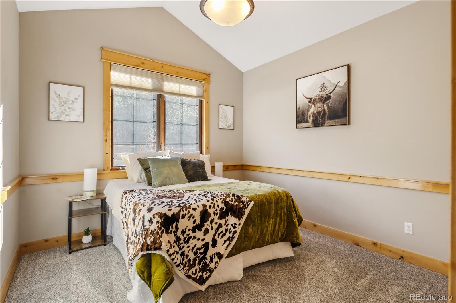 MLS Image #33 for 31276  stone canyon road,evergreen, Colorado