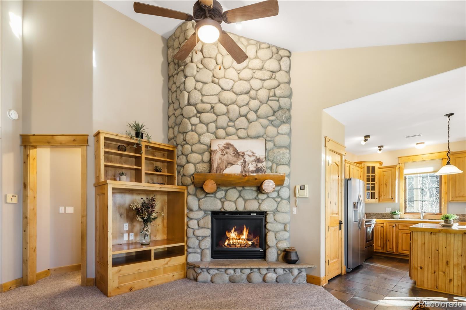 MLS Image #6 for 31276  stone canyon road,evergreen, Colorado
