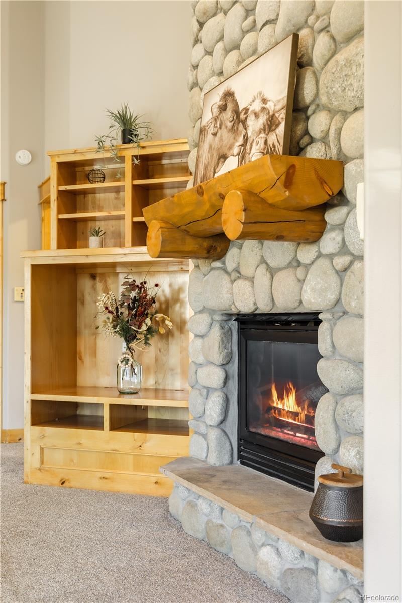 MLS Image #8 for 31276  stone canyon road,evergreen, Colorado
