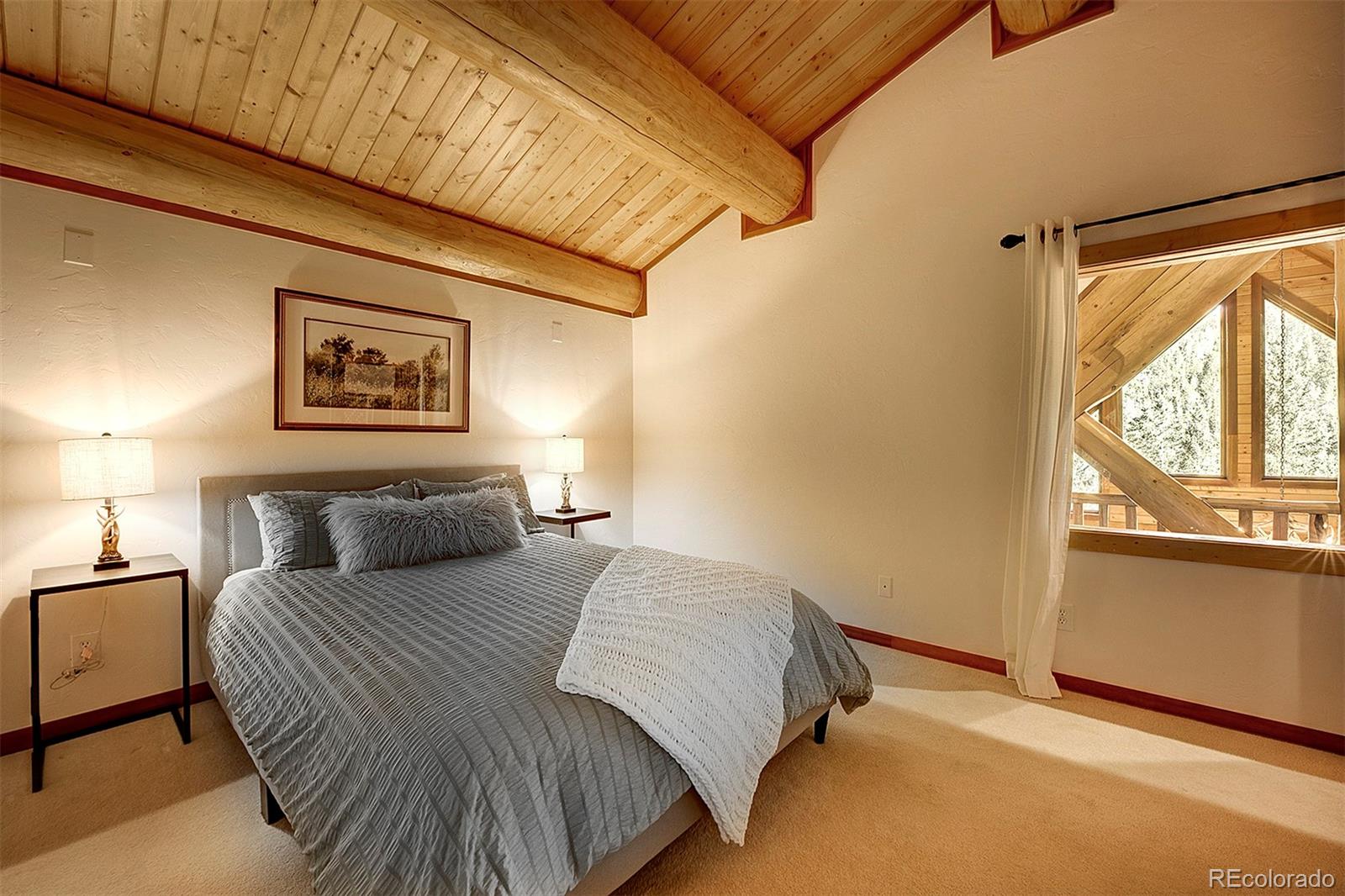 MLS Image #30 for 2880  sinton road,evergreen, Colorado