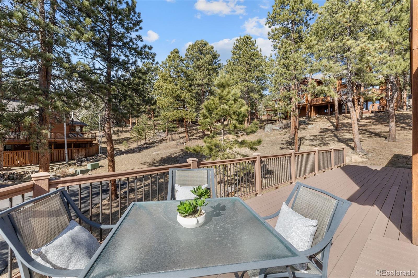 MLS Image #42 for 4266  troutdale village drive,evergreen, Colorado
