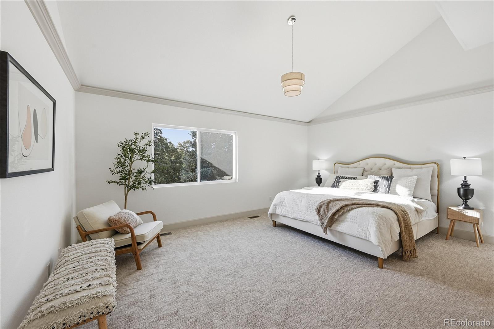 MLS Image #10 for 6225  pine hollow ,parker, Colorado