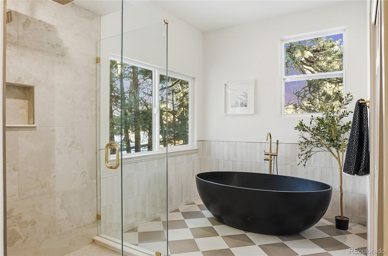 MLS Image #13 for 6225  pine hollow ,parker, Colorado