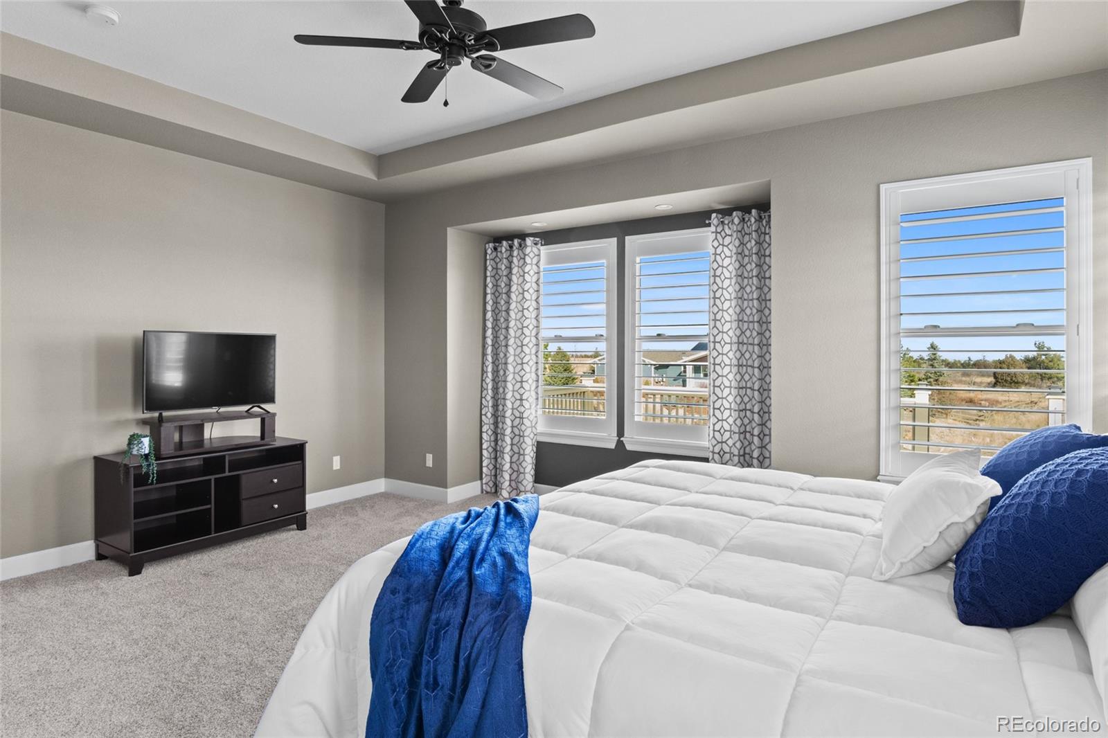 MLS Image #17 for 278  sheldon avenue,castle rock, Colorado