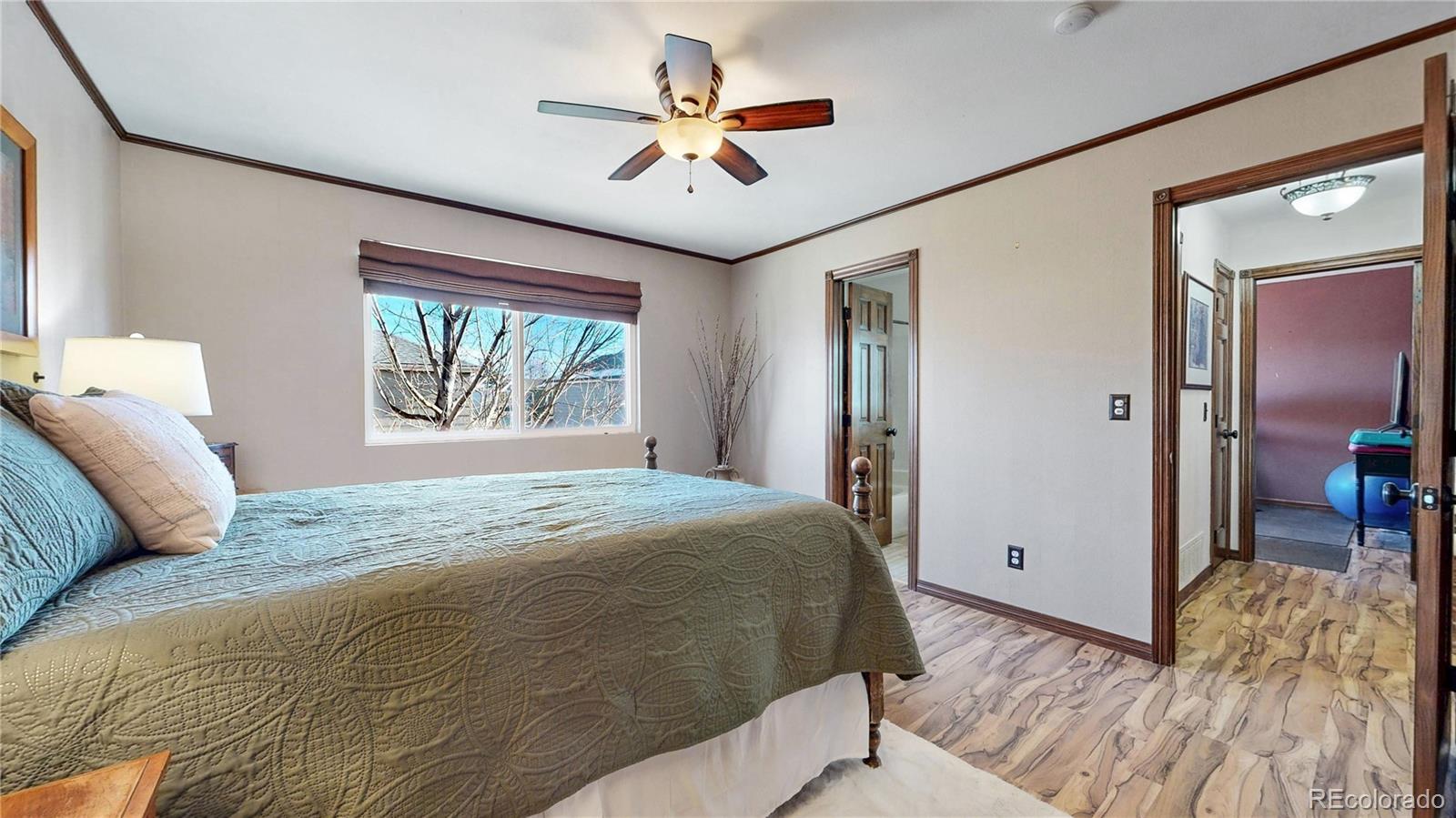 MLS Image #12 for 160 s amherst street,castle rock, Colorado
