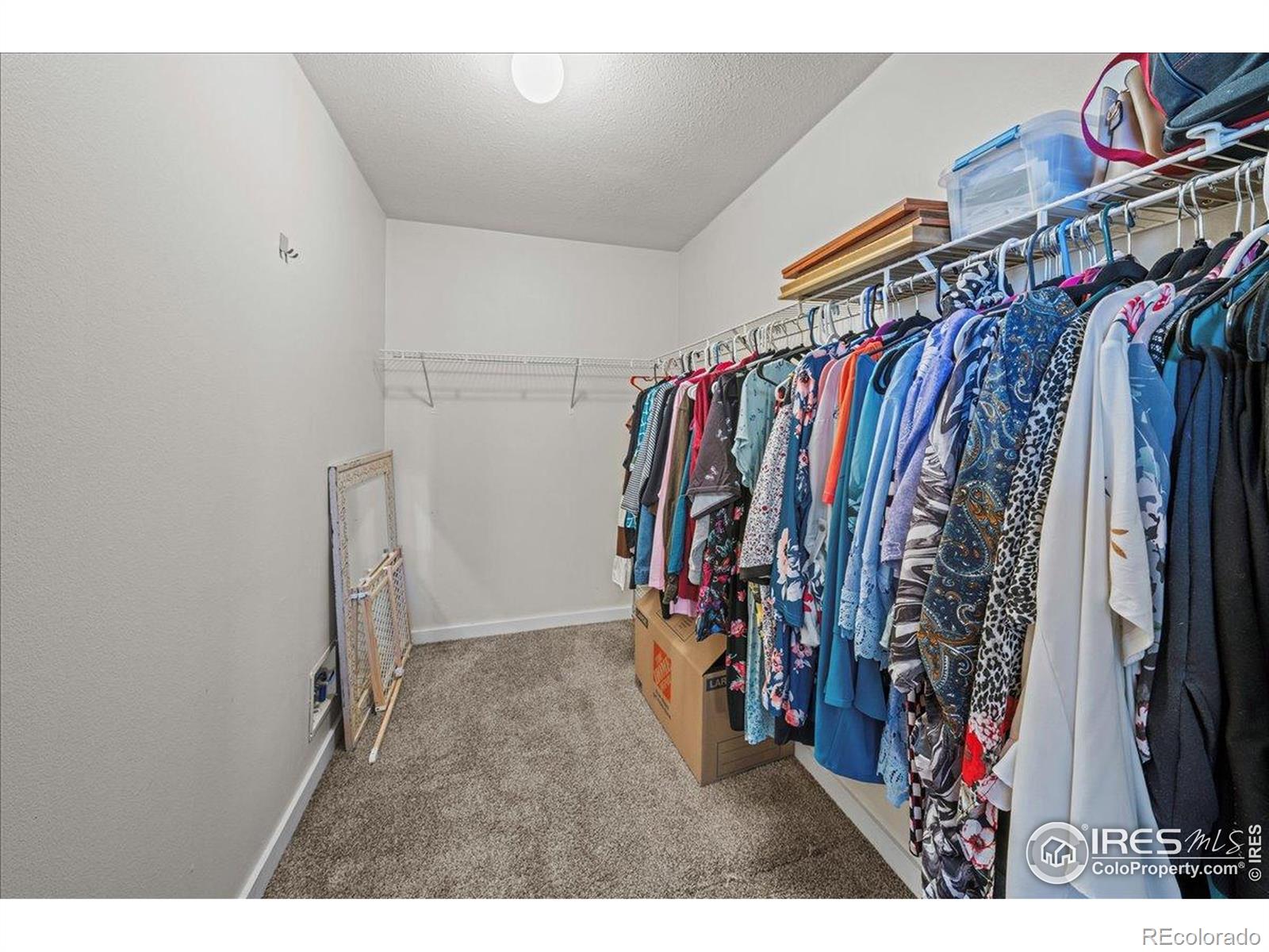 MLS Image #10 for 2495  school house drive,milliken, Colorado