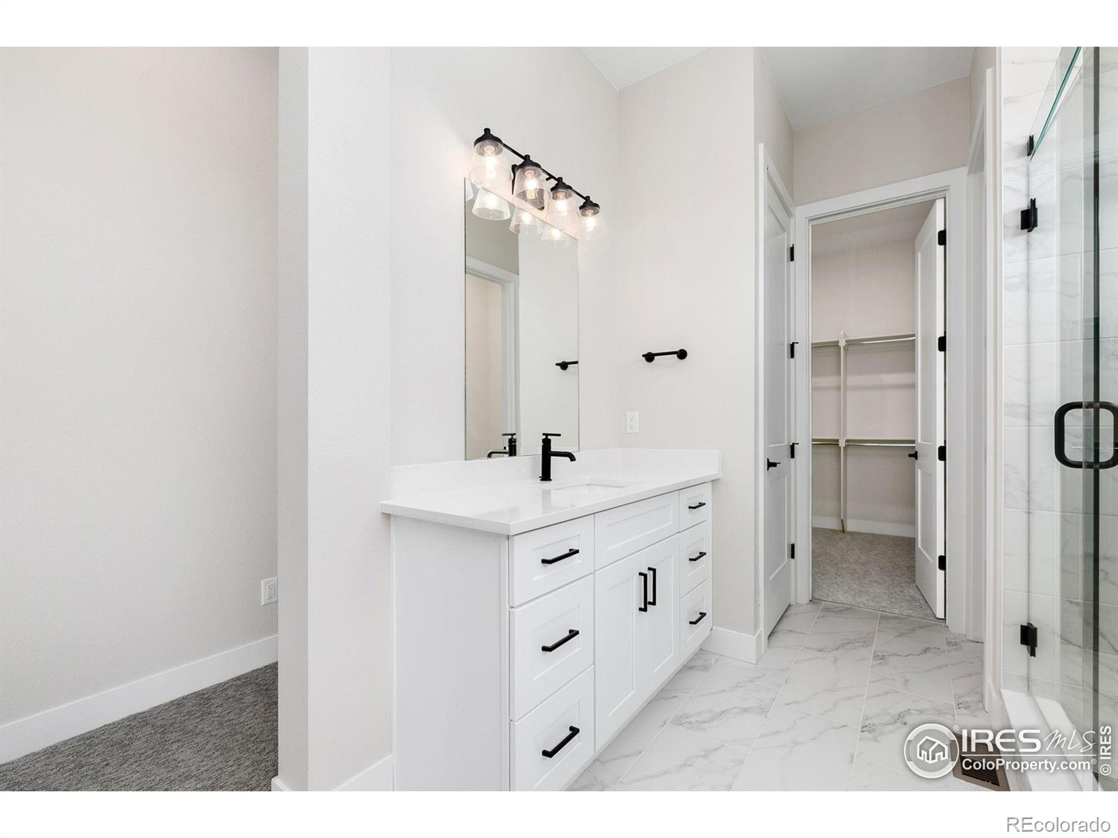 MLS Image #13 for 5835  gianna drive,timnath, Colorado