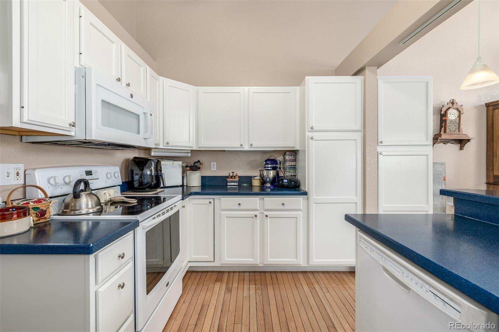 MLS Image #19 for 1195 s allison street,lakewood, Colorado