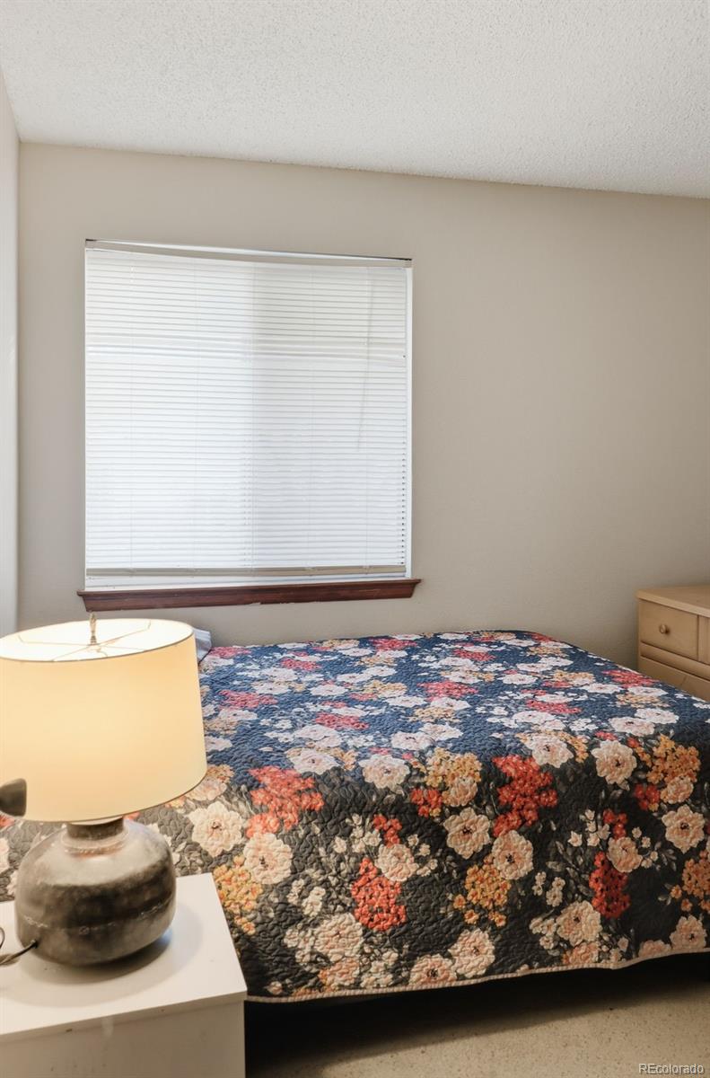 MLS Image #8 for 11842 w brandt avenue,littleton, Colorado