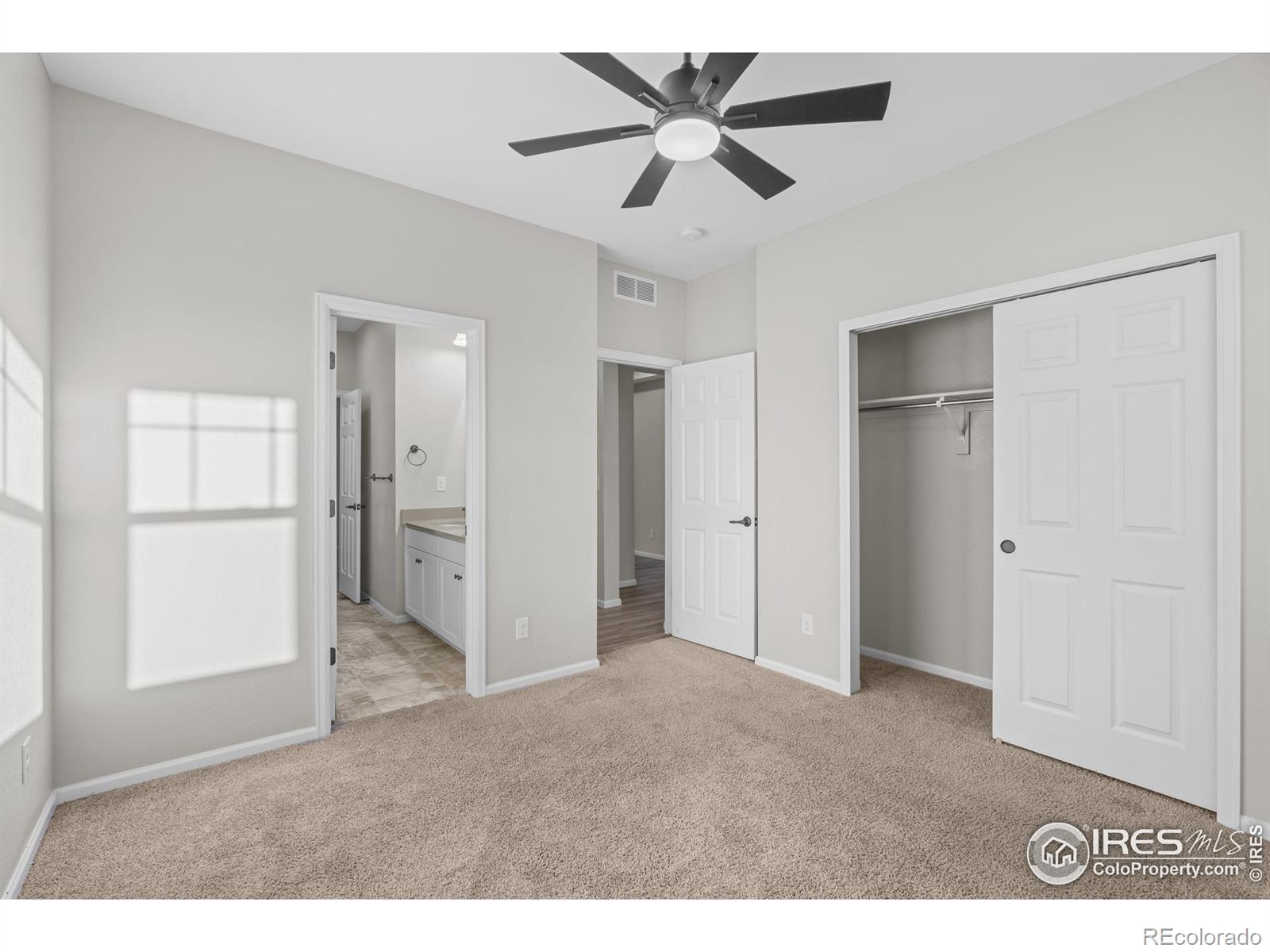 MLS Image #24 for 3326  ice lake court,loveland, Colorado
