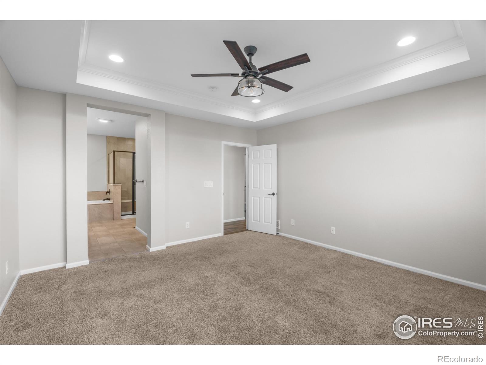MLS Image #6 for 3326  ice lake court,loveland, Colorado