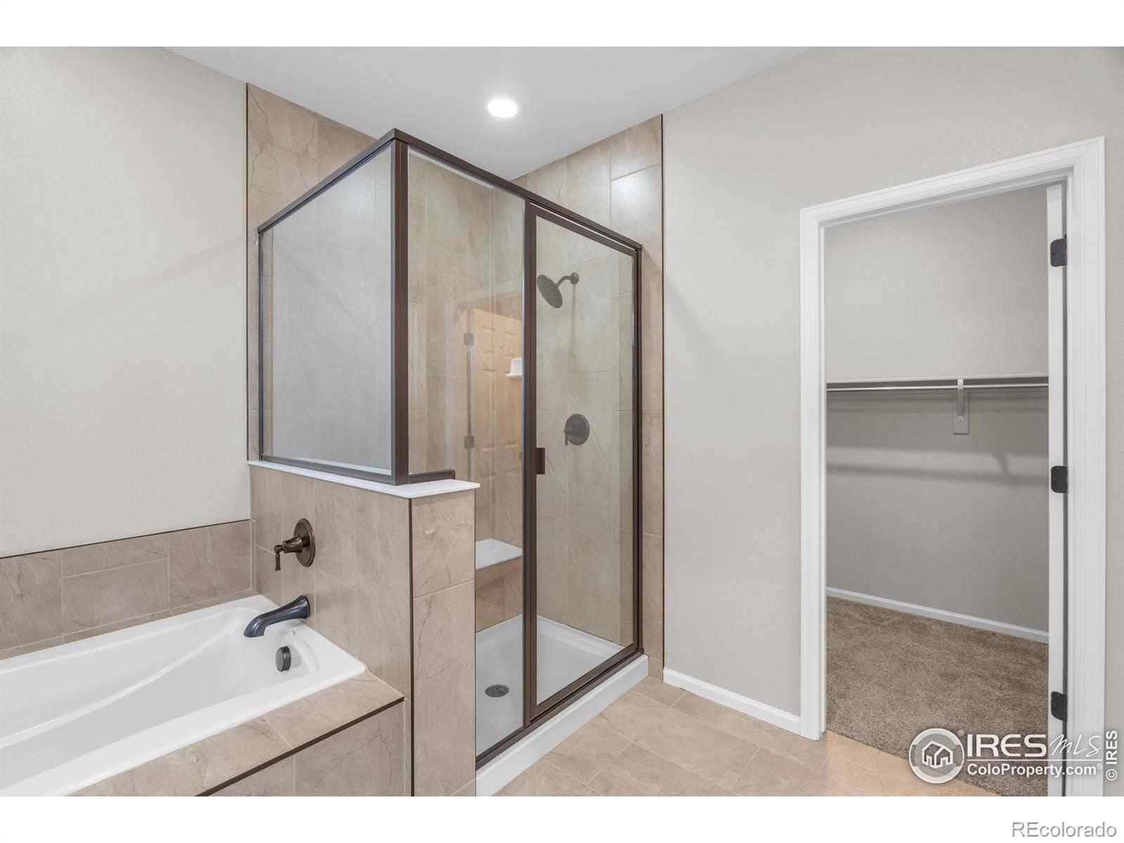 MLS Image #9 for 3326  ice lake court,loveland, Colorado