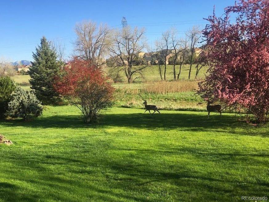 MLS Image #29 for 16011 w 56th place,golden, Colorado