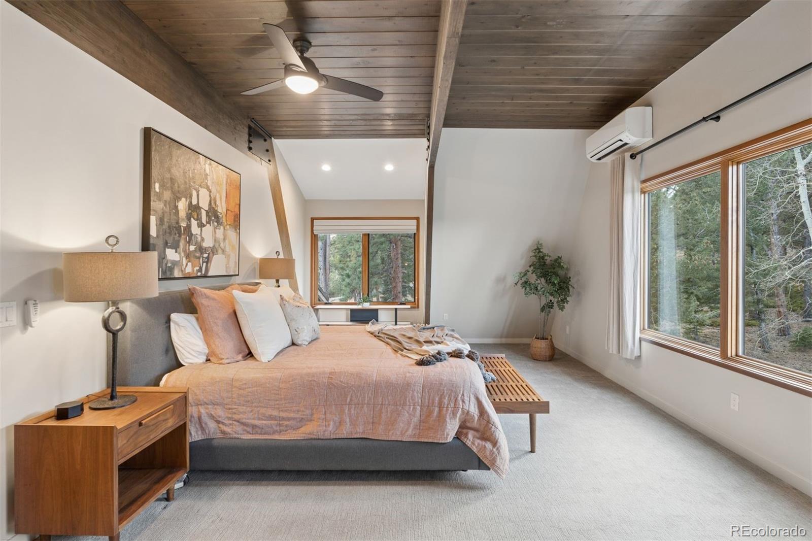 MLS Image #25 for 32581  meadow mountain road,evergreen, Colorado