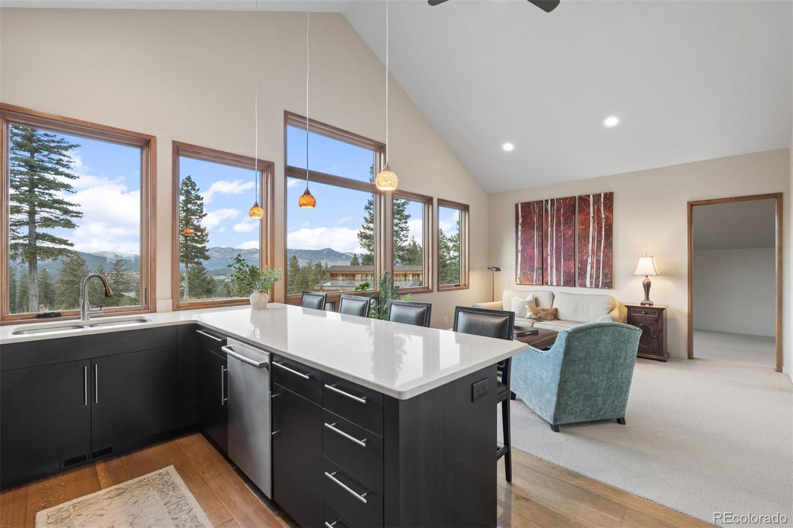 MLS Image #37 for 32581  meadow mountain road,evergreen, Colorado