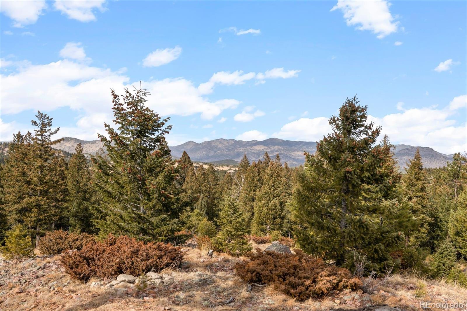 MLS Image #44 for 32581  meadow mountain road,evergreen, Colorado