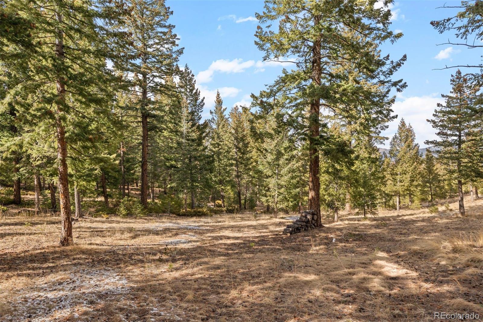 MLS Image #47 for 32581  meadow mountain road,evergreen, Colorado