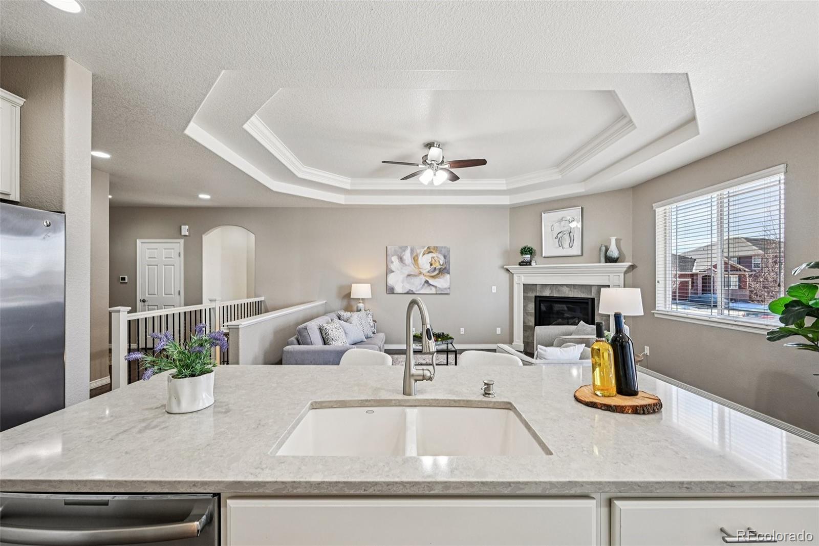 MLS Image #13 for 13071  coffee tree street,parker, Colorado