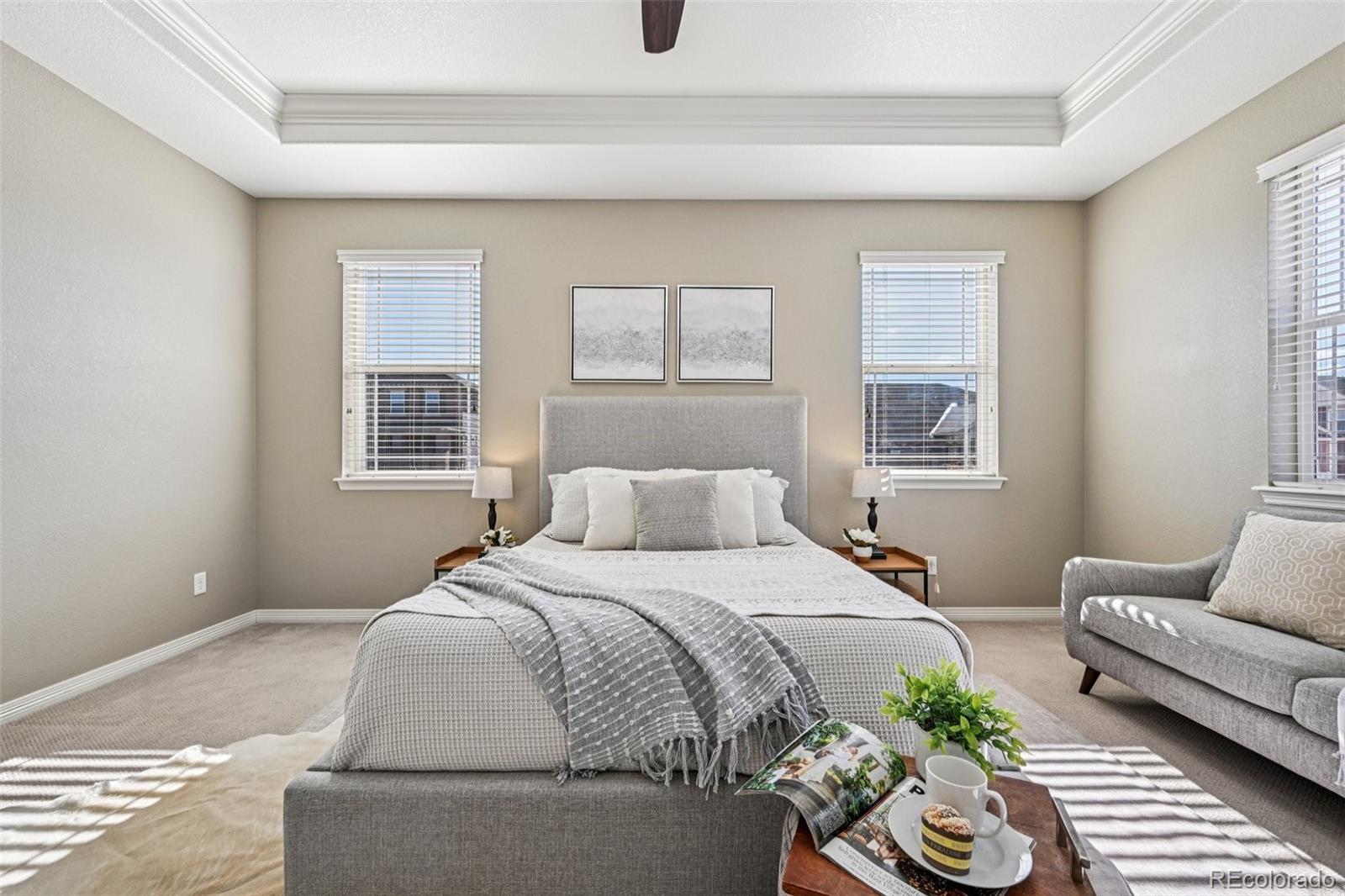 MLS Image #22 for 13071  coffee tree street,parker, Colorado