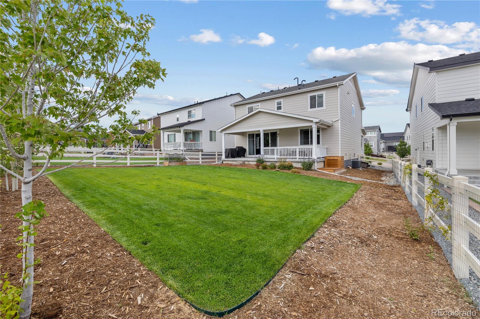 MLS Image #38 for 2660  gray wolf point,castle rock, Colorado