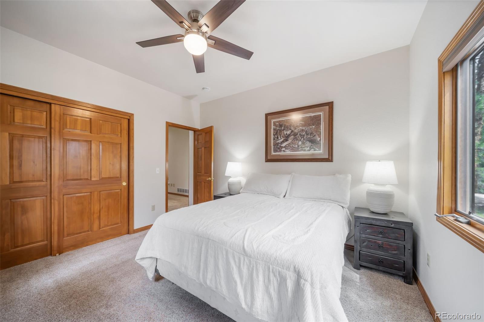 MLS Image #25 for 5846 s pike drive,larkspur, Colorado