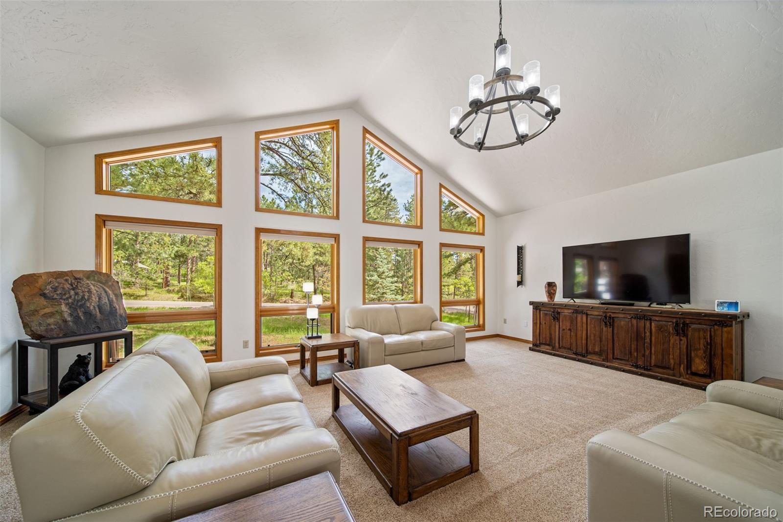MLS Image #5 for 5846 s pike drive,larkspur, Colorado