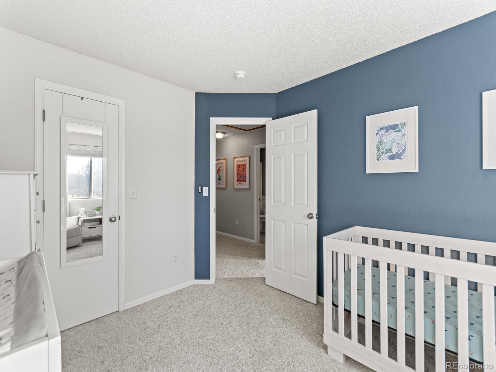 MLS Image #22 for 9639  teller court,westminster, Colorado