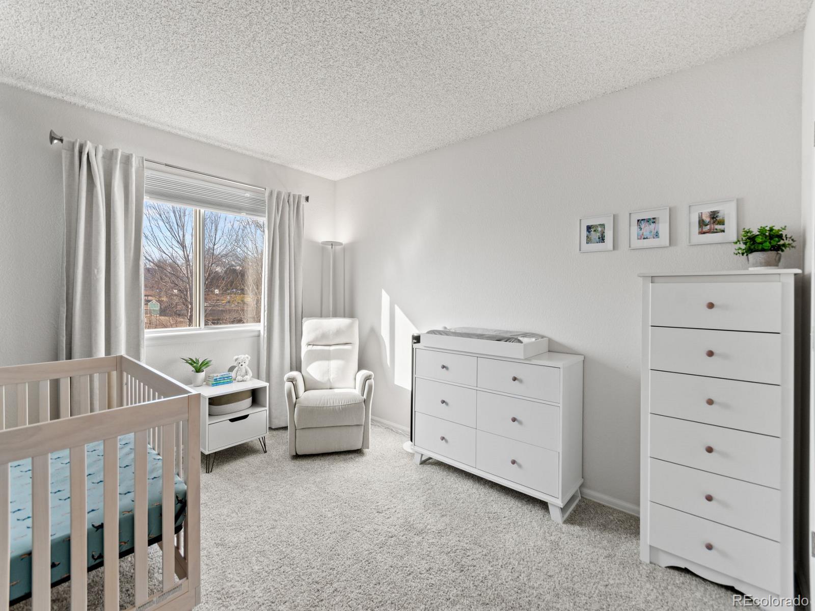 MLS Image #23 for 9639  teller court,westminster, Colorado