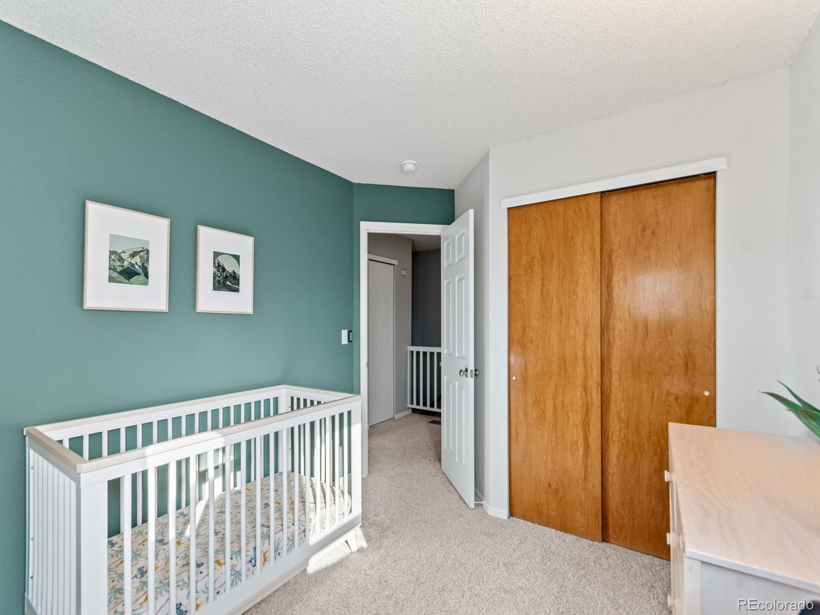 MLS Image #25 for 9639  teller court,westminster, Colorado