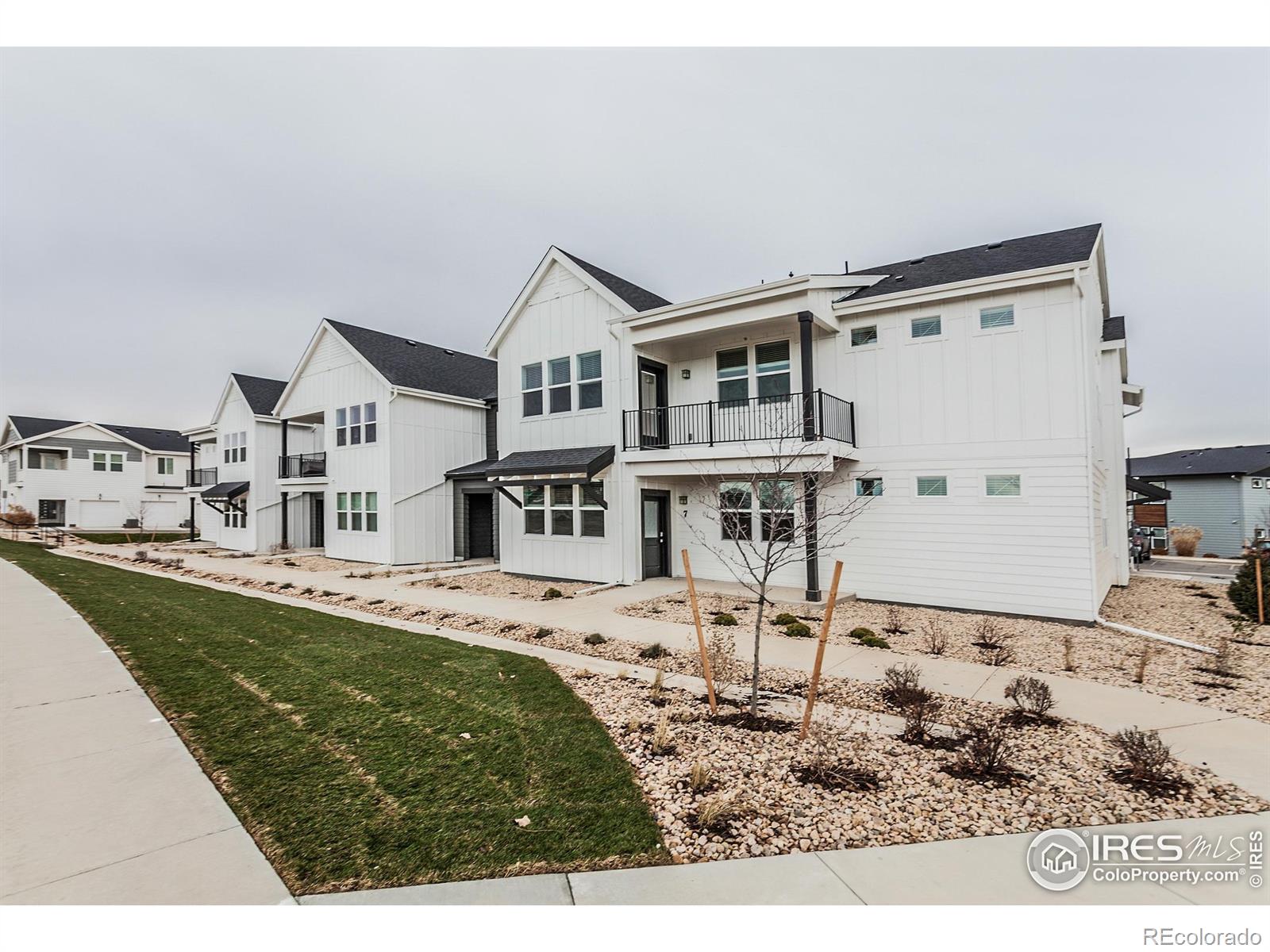 MLS Image #1 for 1811  bounty drive,windsor, Colorado