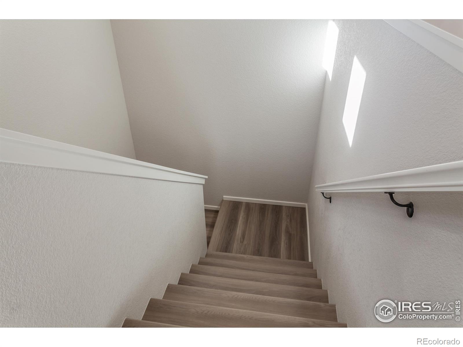 MLS Image #6 for 1811  bounty drive,windsor, Colorado