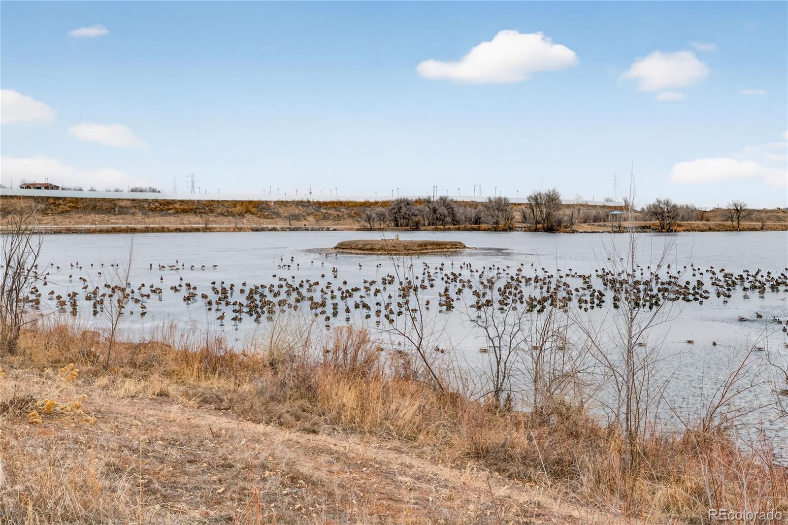 MLS Image #43 for 3379 w wagon trail drive,englewood, Colorado
