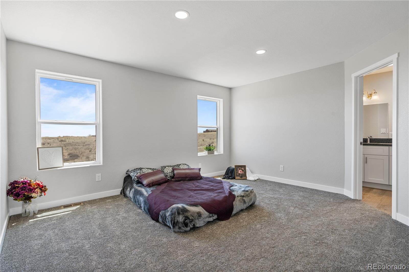MLS Image #14 for 7523  little chief court,fountain, Colorado