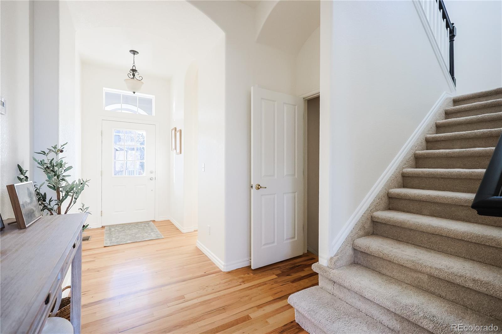 MLS Image #10 for 10715  riverbrook circle,highlands ranch, Colorado