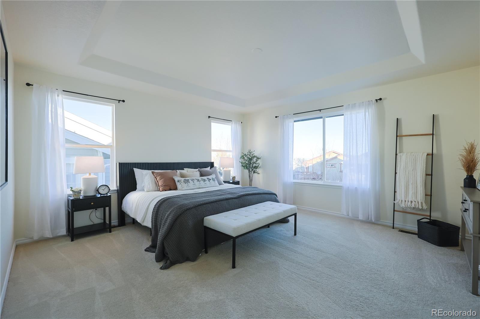 MLS Image #13 for 10715  riverbrook circle,highlands ranch, Colorado