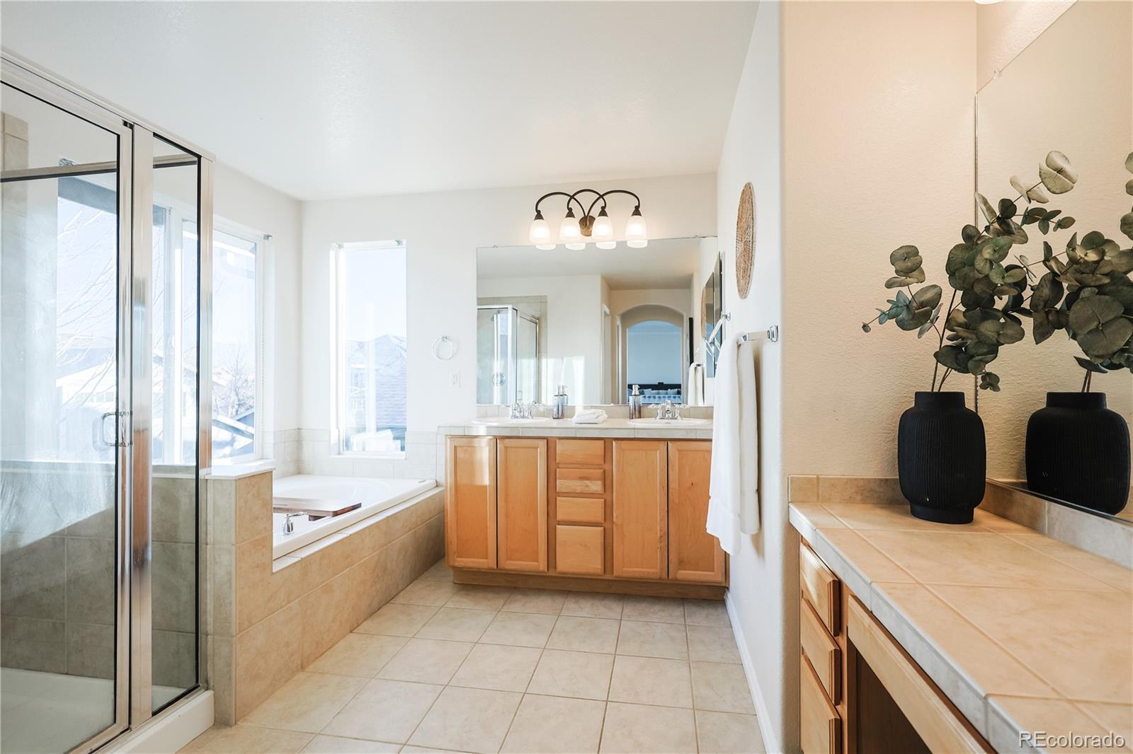 MLS Image #17 for 10715  riverbrook circle,highlands ranch, Colorado