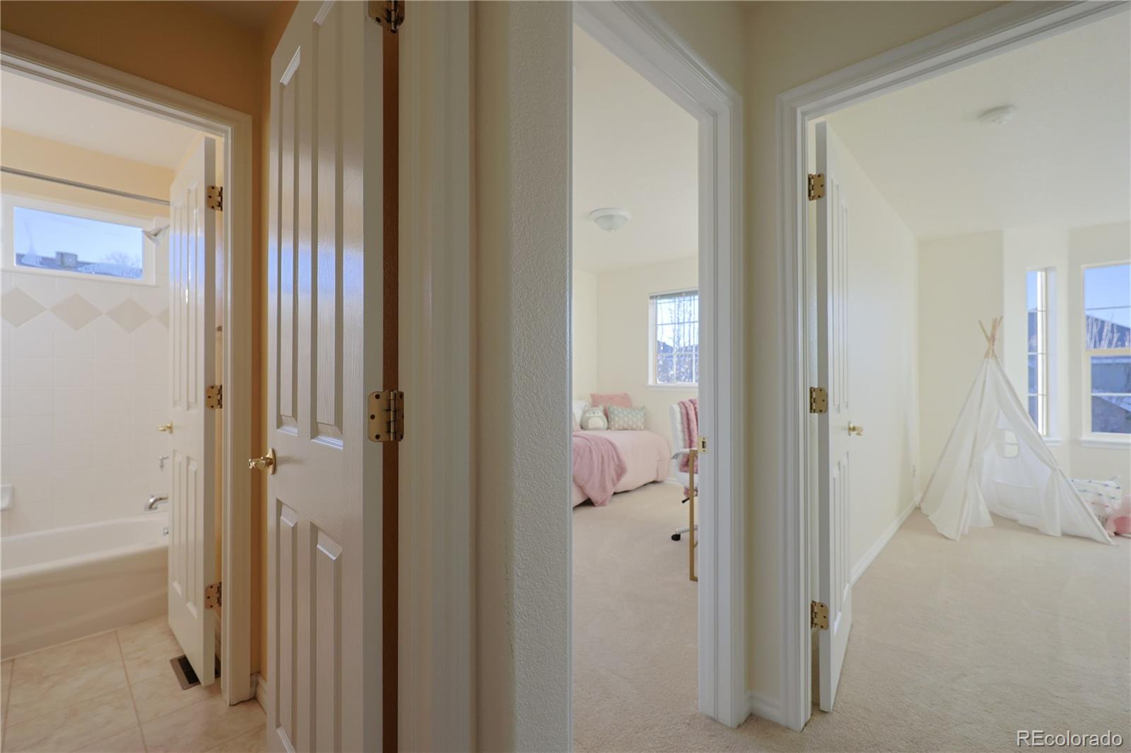MLS Image #21 for 10715  riverbrook circle,highlands ranch, Colorado