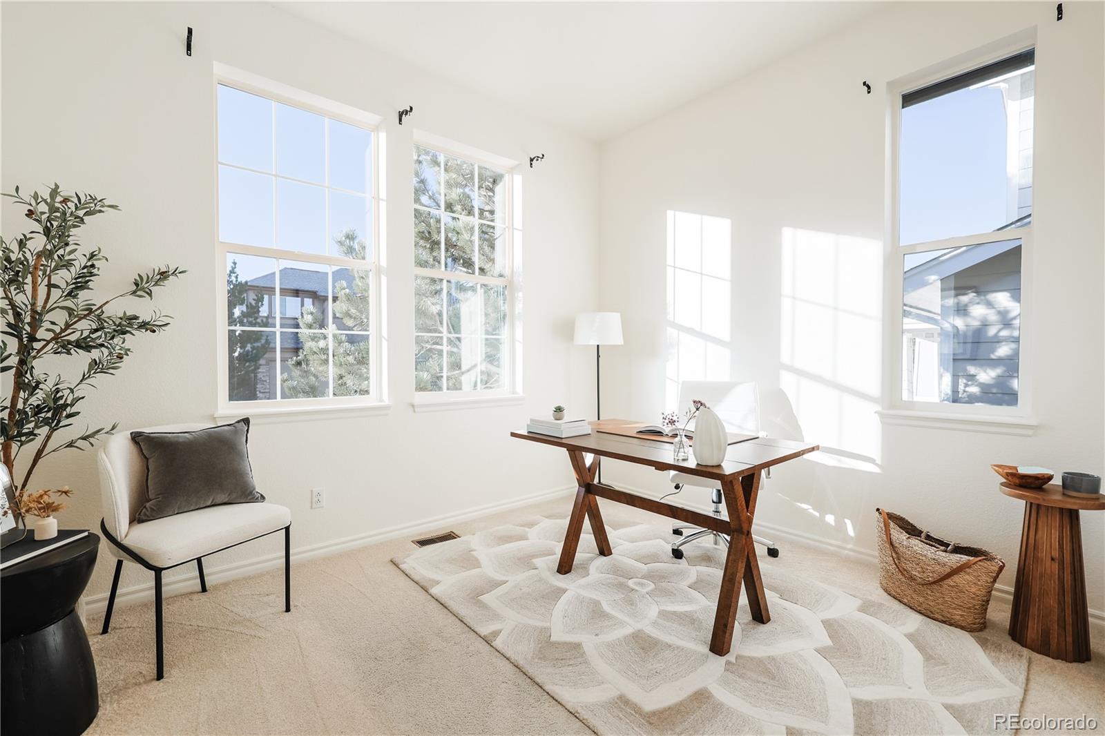 MLS Image #32 for 10715  riverbrook circle,highlands ranch, Colorado