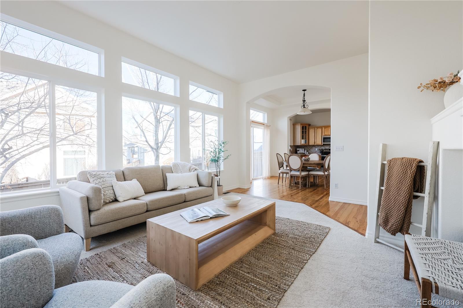 MLS Image #6 for 10715  riverbrook circle,highlands ranch, Colorado