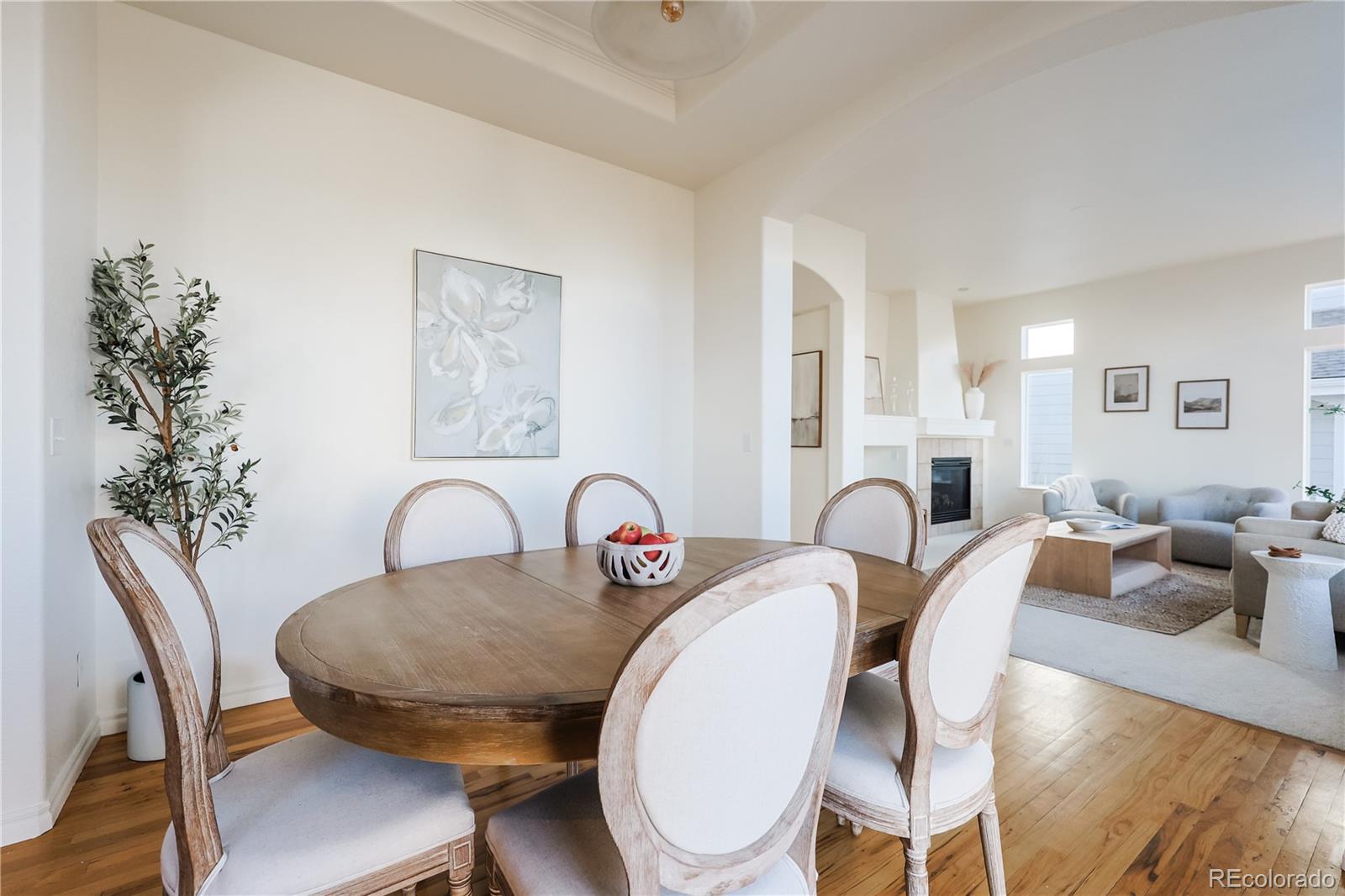 MLS Image #9 for 10715  riverbrook circle,highlands ranch, Colorado