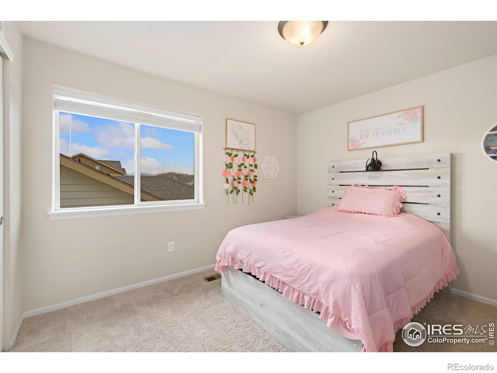 MLS Image #18 for 2674  sapphire street,loveland, Colorado