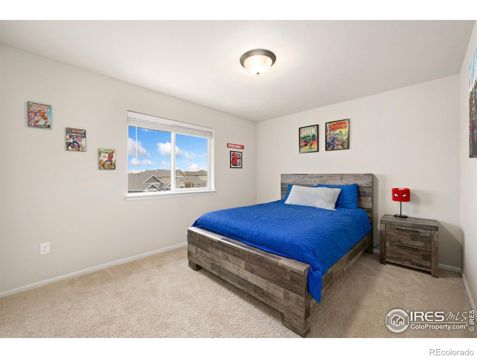 MLS Image #19 for 2674  sapphire street,loveland, Colorado