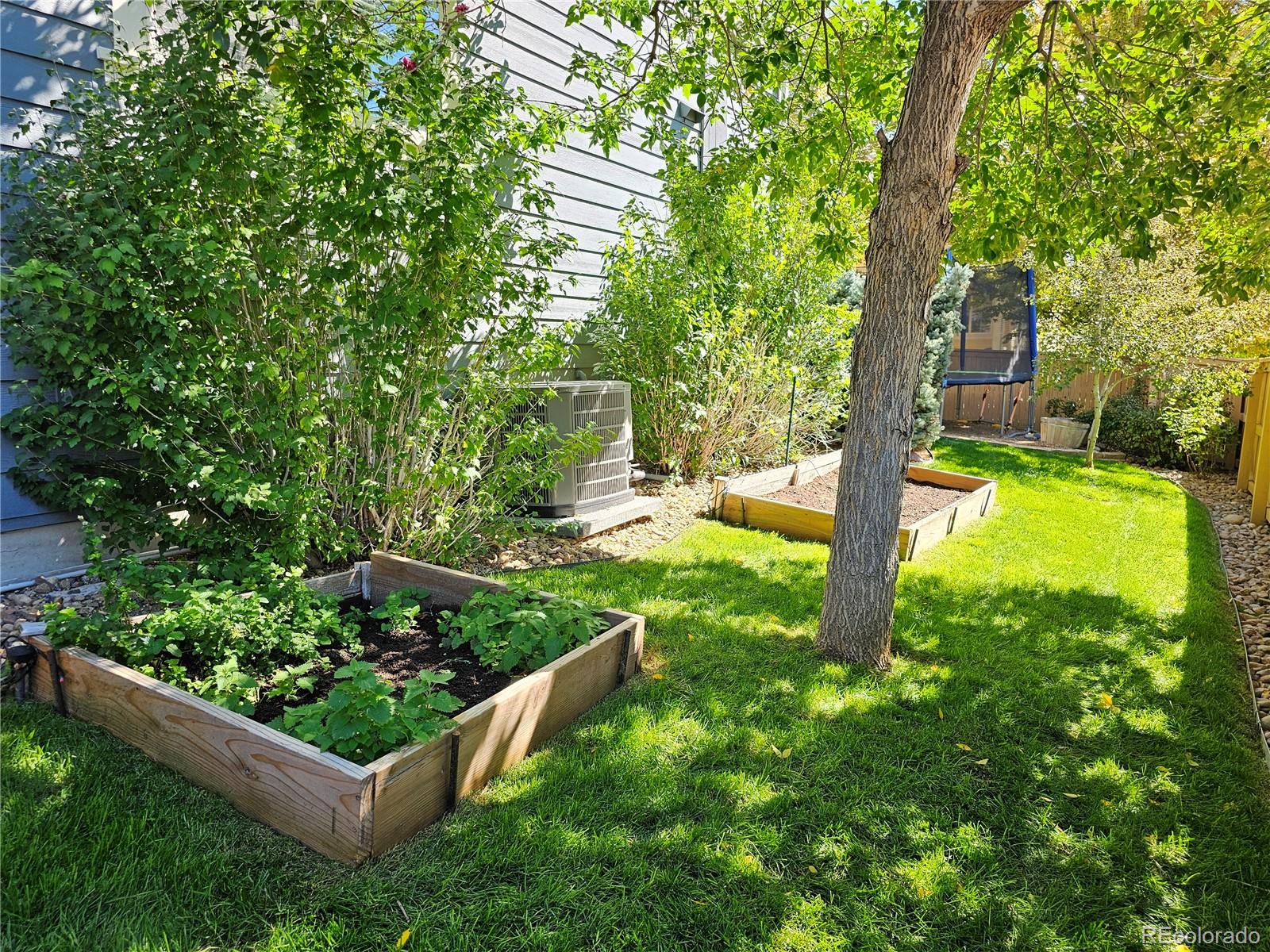 MLS Image #31 for 10564  westcliff place,highlands ranch, Colorado