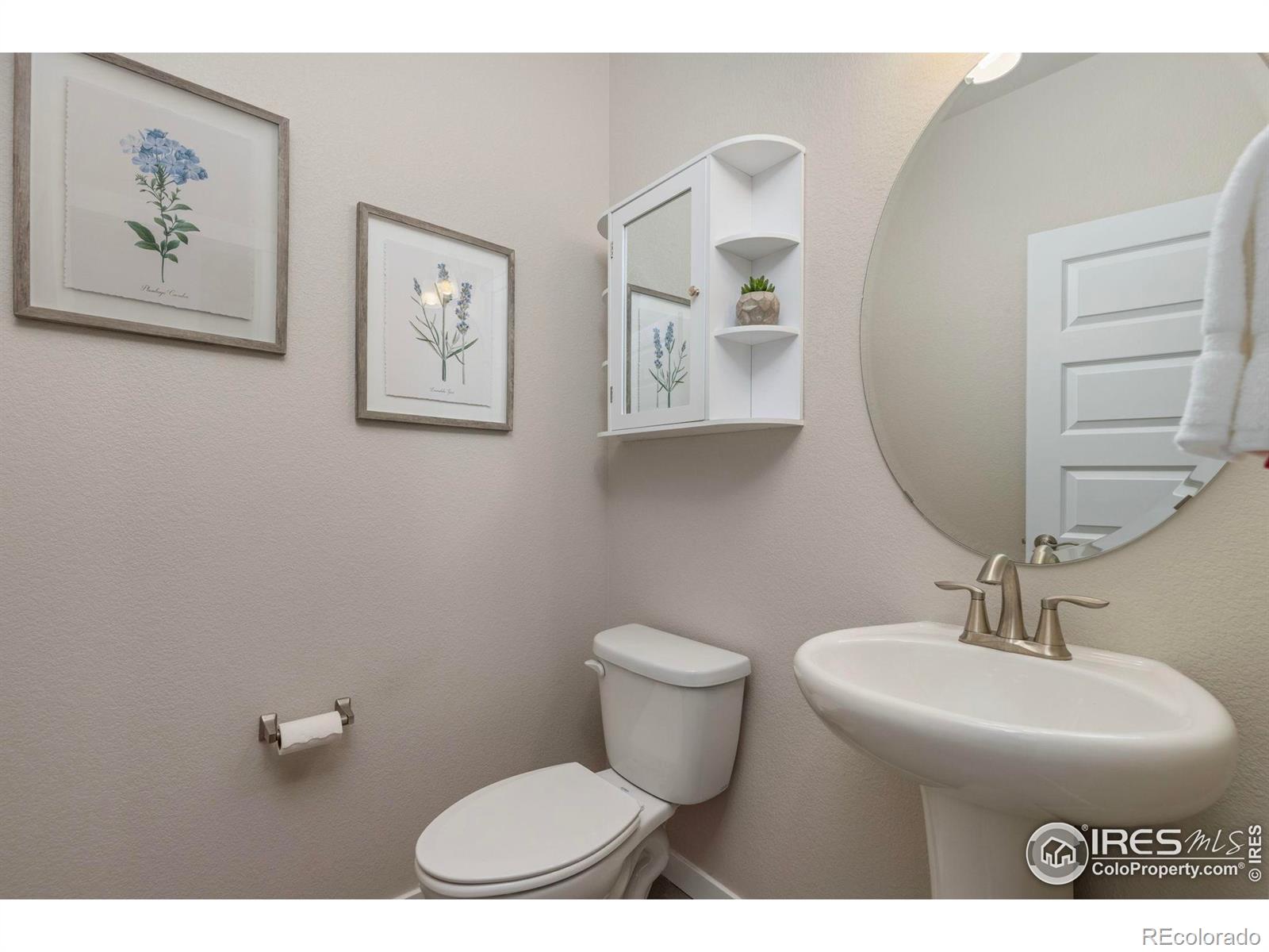 MLS Image #11 for 1223  chilcott street,berthoud, Colorado
