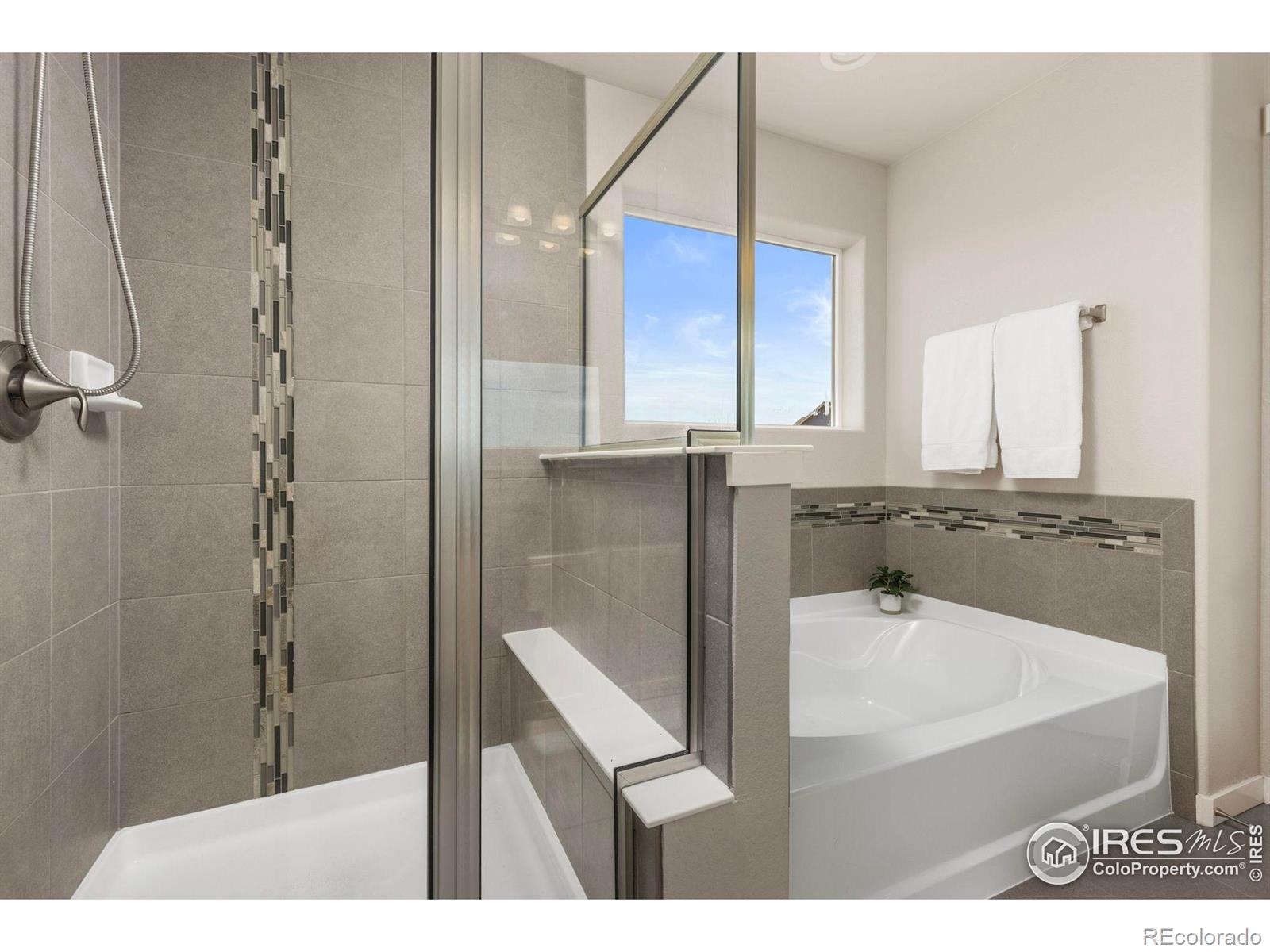 MLS Image #16 for 1223  chilcott street,berthoud, Colorado