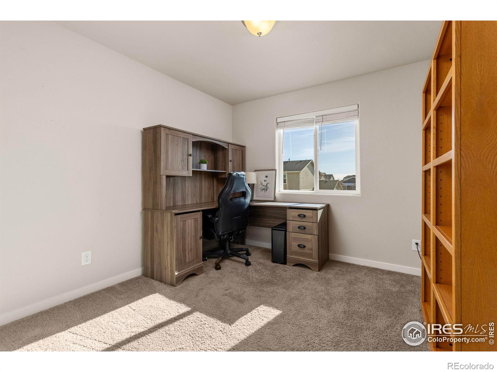 MLS Image #20 for 1223  chilcott street,berthoud, Colorado